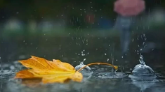 METEO | Cer variabil și ploi slabe sâmbătă noaptea. Câte grade se vor înregistra în acest weekend