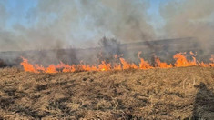 Aproape 300 de persoane au fost amendate după ce au fost prinse că au dat foc vegetației uscate