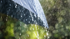 Meteorologii au emis Cod Galben de ploi puternice