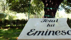 FOTO | Ambasadorul român Cristian-Leon Țurcanu a plantat un lăstar din teiul lui Mihai Eminescu, în curtea Muzeului Național al Literaturii Române din Chișinău 