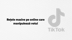 „Operațiune de intoxicare digitală”. Promo-LEX a identificat o rețea masivă de conturi false pe TikTok care distribuie conținut generat cu AI pentru a manipula votul (FOTO, VIDEO)