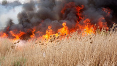 Cod galben de pericol de incendiu, emis de meteorologi 