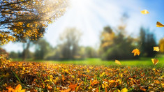 METEO | Cer varibil și maxime de până la 27 grade Celsius, anunțate pentru miercuri 
