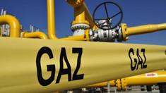 Guvernul a aprobat un set de facilități fiscale pentru importul de gaze naturale și energie electrică 