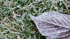 Meteorologii au emis Cod galben de îngheț pe întreg teritoriul R. Moldova