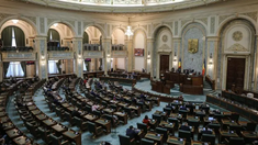 VIDEO | Aplauze în Parlamentul României după alegerile din Republica Moldova: „V-ați mobilizat exemplar”
