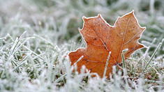 Meteorologii au emis Cod galben de îngheț pe întreg teritoriul R. Moldova