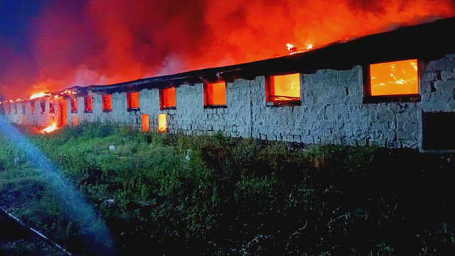 Incendiu de proporții în raionul Rîșcani. Trei sute de animale au fost salvate dintr-un adăpost mistuit de flăcări Incendiu de proporții în raionul Rîșcani. Trei sute de animale au fost salvate dintr-un adăpost mistuit de flăcări