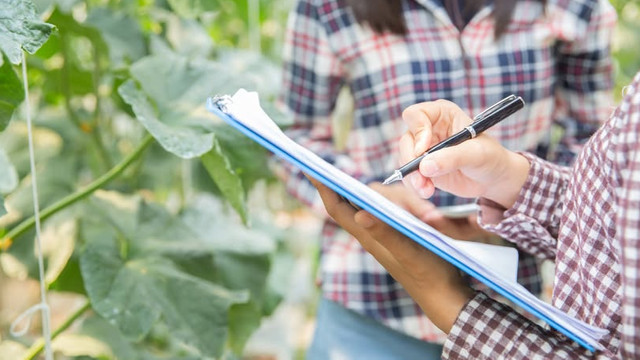 Consilierii agricoli din țară vor putea identifica nevoile, dificultățile și resursele necesare într-un chestionar lansat de autorități Consilierii agricoli din țară vor putea identifica nevoile, dificultățile și resursele necesare într-un chestionar lansat de autorități