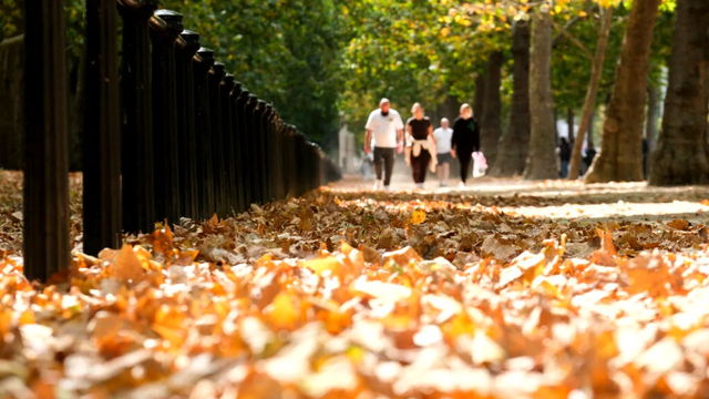 Temperaturile scad în Republica Moldova. Meteorologii prognozează pentru astăzi, 11 septembrie, ploi slabe în nordul țării Temperaturile scad în Republica Moldova. Meteorologii prognozează pentru astăzi, 11 septembrie, ploi slabe în nordul țării