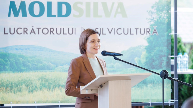 Republica Moldova marchează Ziua silvicultorilor. Maia Sandu: „Prin munca lor, fac Republica Moldova mai verde”