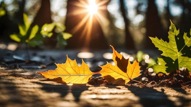 Astăzi vom avea cer senin și temperaturi de până la 27 de grade Celsius