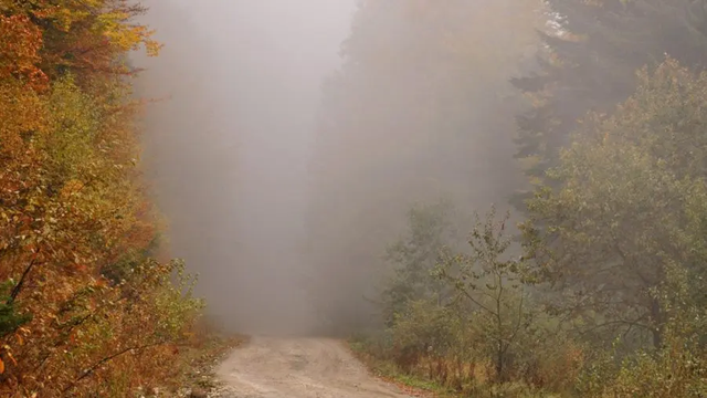 Vreme mai rece astăzi, 25 septembrie, cu ploi slabe 