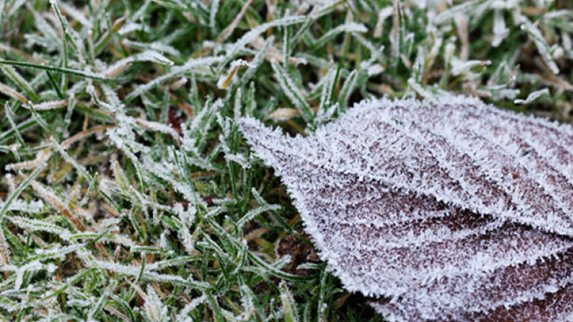 Meteorologii au emis aod galben de îngheț pe întreg teritoriul R. Moldova