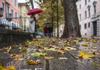 METEO | Cer noros și ploi, prognozate de meteorologi în prima zi de octombrie 