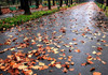 METEO | Ploi slabe și izolat înghețuri la suprafața solului, anunțate de meteorologi pentru joi