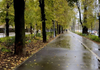METEO | Săptămâna începe cu cer noros și maxime termice care nu vor depăși 8 grade Celsius pe timp de noapte