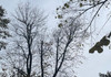 Meteorologii anunță cer noros și ploi slabe izolate. Ce temperaturi vom avea astăzi, 10 octombrie
