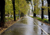 Revin ploile în weekend, iar de luni – înghețurile
