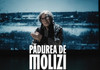 Zilele Filmului Românesc la Chișinău | „Pădurea de molizi”, un film inspirat din tragedia de la Fântâna Albă, în regia lui Tudor Giurgiu
