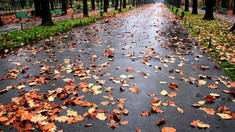METEO | Ploi slabe și izolat înghețuri la suprafața solului, anunțate de meteorologi pentru joi