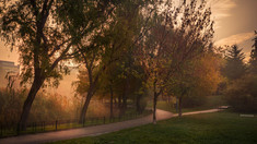 Ne așteaptă alte câteva zile cu temperaturi scăzute pentru această perioadă din an, apoi vremea se va încălzi. Ghenadie Roșca: „Acest scenariu se repetă o dată la 3-5 ani”