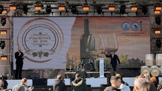 Ziua Națională a Vinului 2025 | Cei mai buni producători de vin de casă au fost premiați în cadrul concursului „Polobocul de aur”