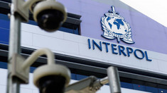 IGP cere Interpolului darea în căutare internațională a Marinei Tauber