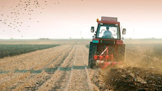 Două mii de fermieri cu venituri reduse vor primi granturi în valoare de 10 mii de lei pentru echipamente agricole
