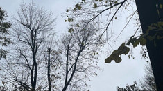 Meteorologii anunță cer noros și ploi slabe izolate. Ce temperaturi vom avea astăzi, 10 octombrie