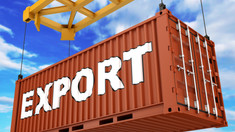 Exporturi de aproape 85 miliarde lei, înregistrate în primele nouă luni ale anului. Cifrele prezentate de Serviciul Vamal