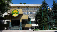 Zeci de proiecte moldo-române în domeniul cercetării, în derulare la Universitatea de Stat a Moldovei, cu finanțare din partea DRRM 
