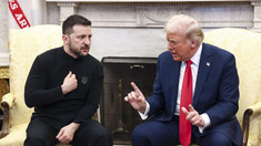 Donald Trump l-a îndemnat pe Volodimir Zelenski să accepte condițiile lui Vladimir Putin, altfel Rusia „ar putea distruge” Ucraina (FT)