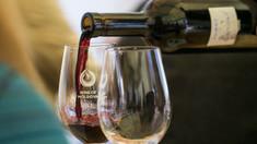 Vinurile Republica Moldova cuceresc America de Nord: 46 de medalii la Sélections Mondiales des Vins 2025 de la Montréal