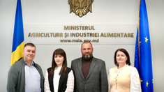 FAO recunoaște eforturile Republicii Moldova în gestionarea durabilă a terenurilor agricole