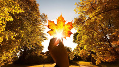 Vreme frumoasă și temperaturi generoase, prognozate pentru ultima zi a lunii octombrie