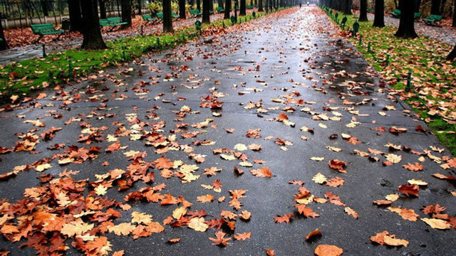 METEO | Ploi slabe și izolat înghețuri la suprafața solului, anunțate de meteorologi pentru joi