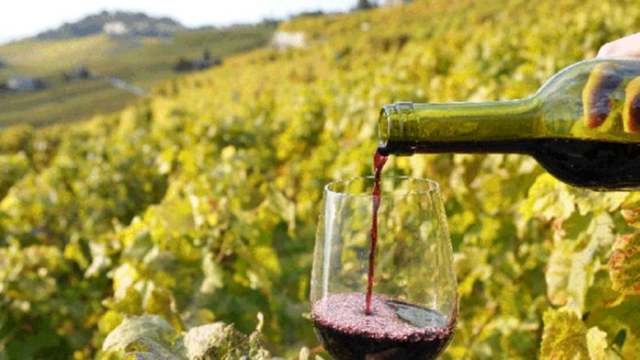 România - principala piață de desfacere pentru vinurile și alte băuturi alcoolice din Republica Moldova