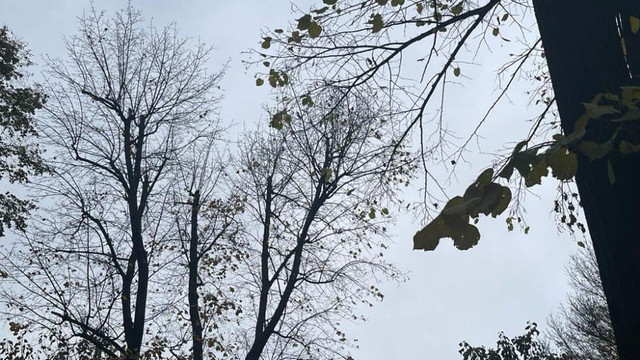 Meteorologii anunță cer noros și ploi slabe izolate. Ce temperaturi vom avea astăzi, 10 octombrie Meteorologii anunță cer noros și ploi slabe izolate. Ce temperaturi vom avea astăzi, 10 octombrie