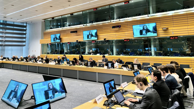 Cristina Gherasimov, la reuniunea COELA de la Bruxelles: „Suntem în plin proces de implementare a agendei de reforme” 
