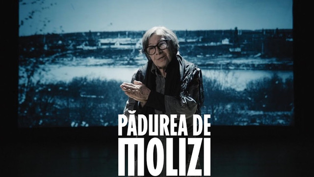 Zilele Filmului Românesc la Chișinău | „Pădurea de molizi”, un film inspirat din tragedia de la Fântâna Albă, în regia lui Tudor Giurgiu Zilele Filmului Românesc la Chișinău | „Pădurea de molizi”, un film inspirat din tragedia de la Fântâna Albă, în regia lui Tudor Giurgiu