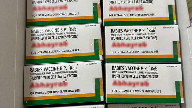 Republica Moldova a cumpărat ultimul lot de vaccin antirabic din acest an Republica Moldova a cumpărat ultimul lot de vaccin antirabic din acest an