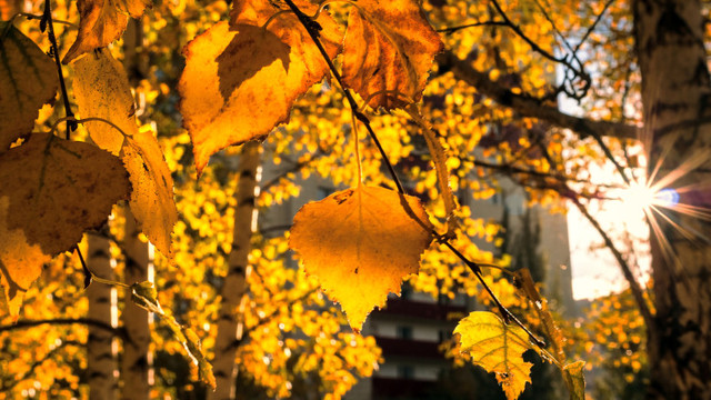 METEO | Vreme stabilă și fără precipitații, prognozată pentru astăzi 