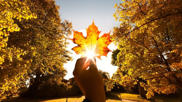 Vreme frumoasă și temperaturi generoase, prognozate pentru ultima zi a lunii octombrie  Vreme frumoasă și temperaturi generoase, prognozate pentru ultima zi a lunii octombrie