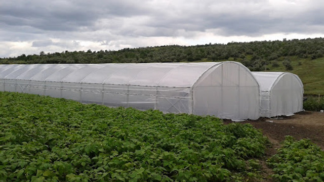 Fermierii pot accesa credite de până la 150 mii de euro pentru modernizarea serelor agricole și implementarea tehnologiilor verzi