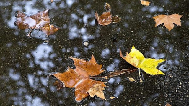 METEO | Vremea se răcește brusc și vor cădea precipitații