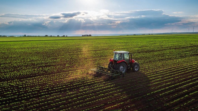 AIPA: Începe plata despăgubirilor pentru agricultorii afectați de înghețuri și furtuni