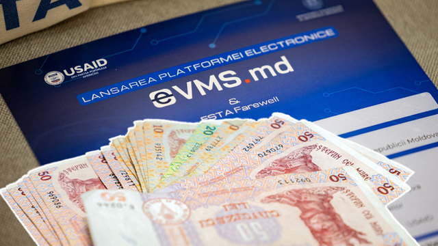 Investiții de peste 22 de milioane în valorile mobiliare de stat la subscrierea din noiembrie