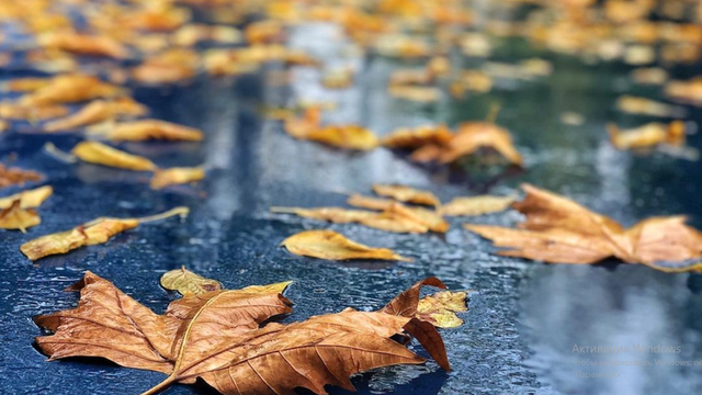 METEO | Zi ploioasă în R. Moldova. Câte grade se vor înregistra astăzi, 28 noimebrie


