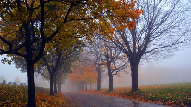 METEO | Vom avea parte de un weekend cu vreme mohorâtă și ploi slabe
